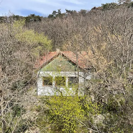 Rustic & Garden Retreat On Buda Hilltop * Budapeşte