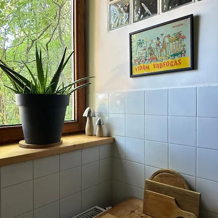 Rustic & Garden Retreat On Buda Hilltop Tatil Evi Budapeşte